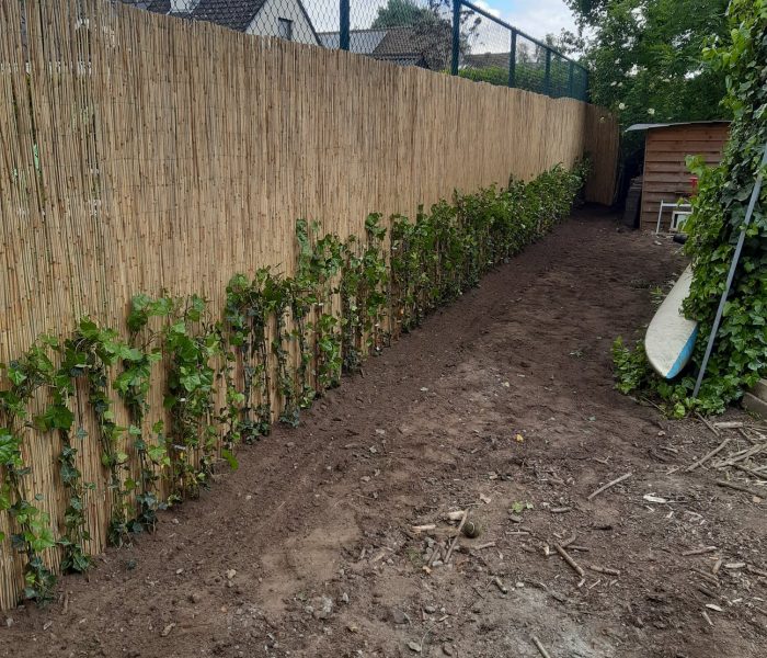 124353790_3479360748814368_2287414165569687077_n